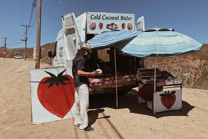 Vintage VW Hippie Tour to Malibu with wine tasting image