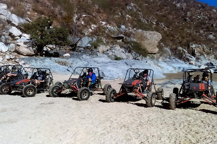 Cabo Dune Buggy- The Off Road Adventure image