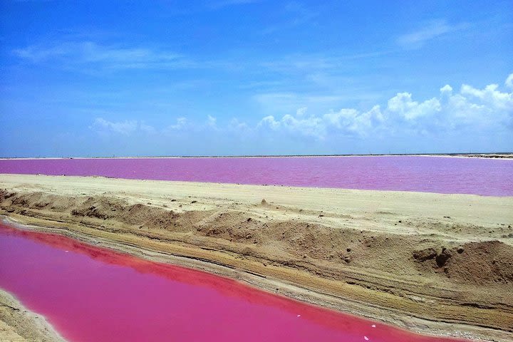 Pink Lake Rio Lagartos and Cenote Tour from Playa del Carmen image