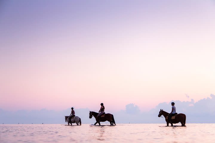 Standard Ride: Beach & Bush image