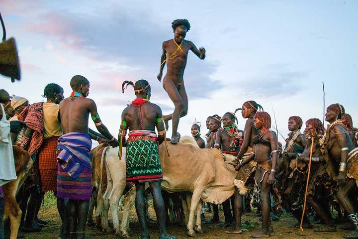 Explore Omo Valley in 8 Days image