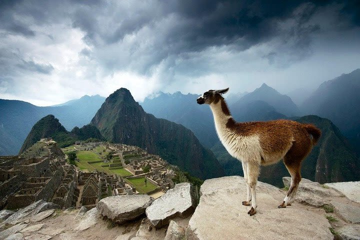 Machu Picchu official entrance ticket image