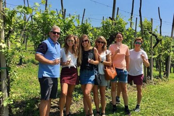 Prosecco hills hiking tour and wine tasting image