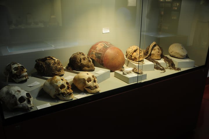 Antonini Museum in Nasca Private Tour image