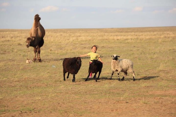 1 Day Semi-Gobi Tour Including Lunch And Free Camel or Horseback Ride image