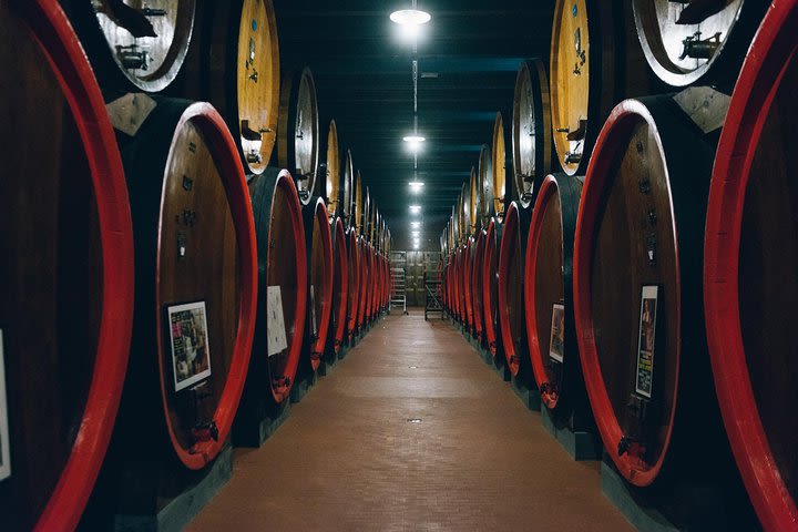 Great wine tour in Tuscany From Florence image