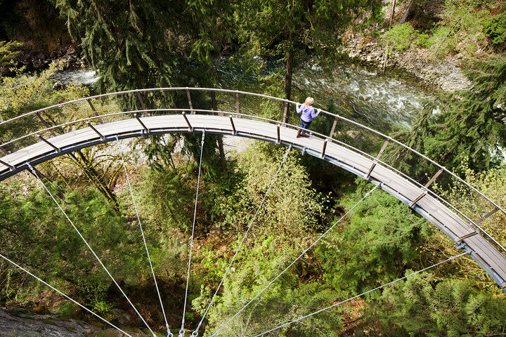 Exploring Grouse Mountain & Capilano Suspension Bridge (Small Private Group) image