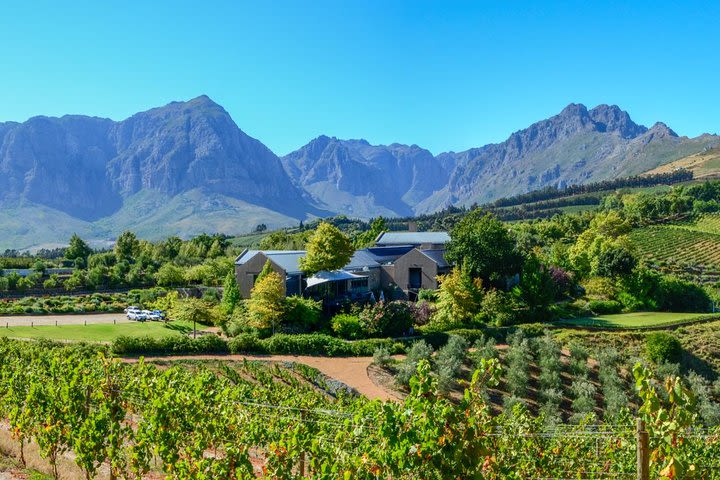 Full Day Private Wine tour of Stellenbosch and Franschoek wine region image