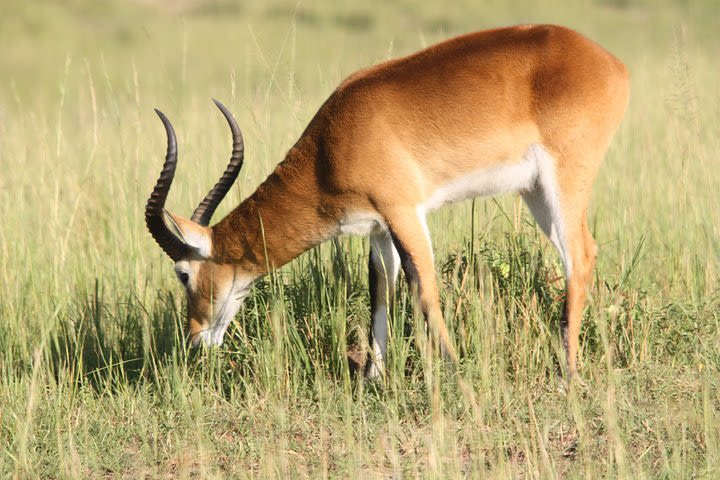 7 Days Small Group Adventure Holiday image