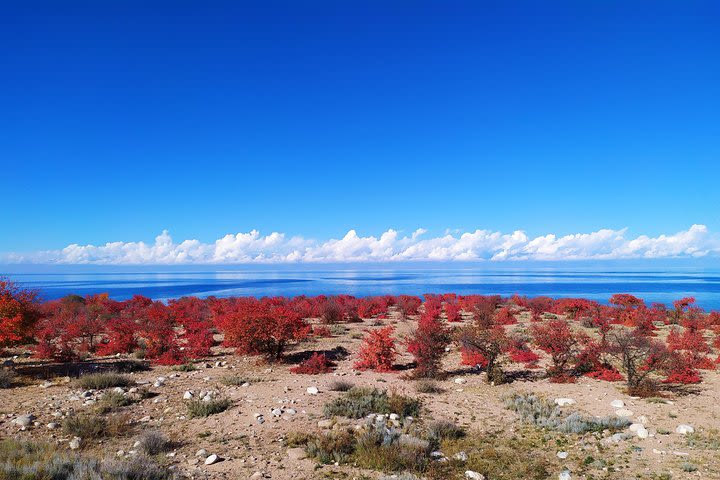 Marvellous 3 days around the Issyk-Kul lake  image