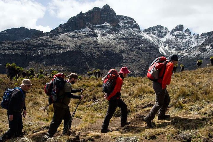 6 Days Mount Kenya Hiking Expedition Safari image