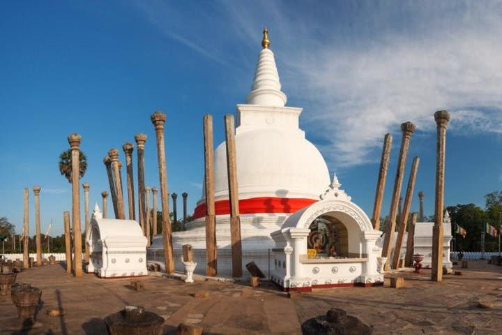 Wilpattu and Anuradhapura from Negombo (2 Days) image