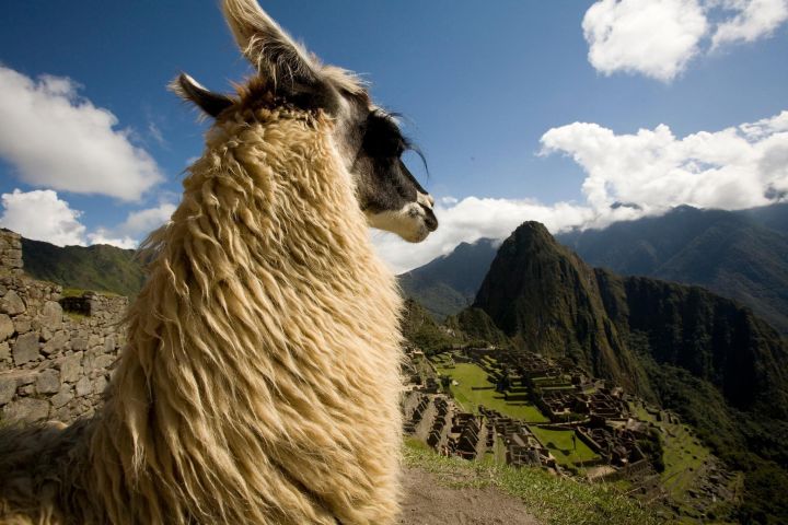 6-Day Cusco, Sacred Valley & Machu Picchu Adventure image