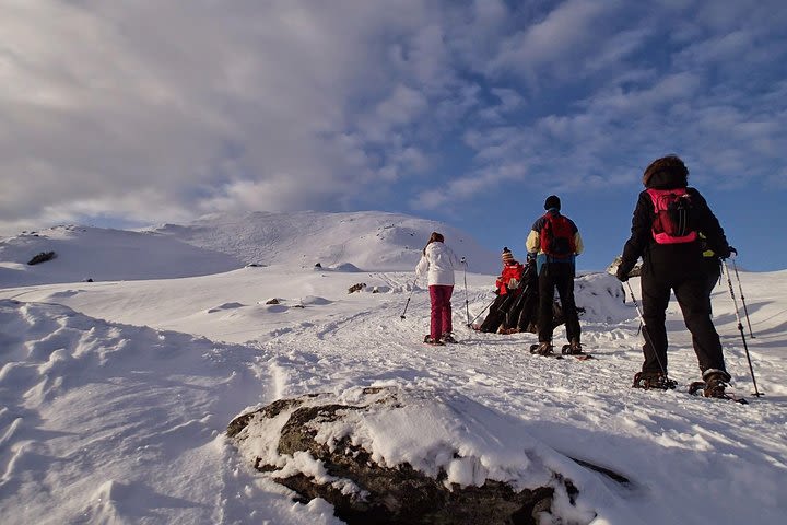 Snowshoe Hike on Whale Island in Tromso image