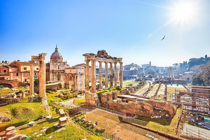 Colosseum, Roman Forum, Navona Square Small Group Tour image