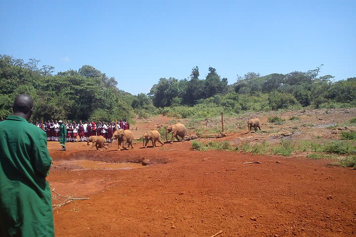 Day tours to David Sheldrick,Giraffe centre and Karen Blixen  image