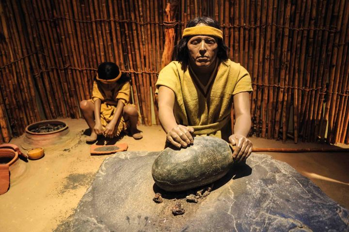 Batan Grande Archaeological Site & Sicán Museum Tour image