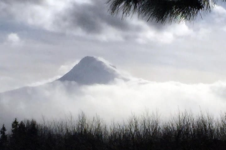 Full-Day Mt Hood Waterfall Tour with Lunch and Wine Tasting image