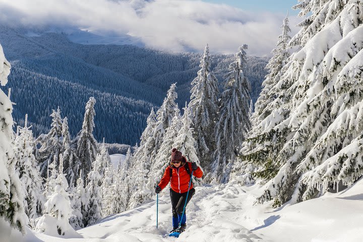 Snowshoeing on the Transylvanian hills - Day trip from Bucharest image