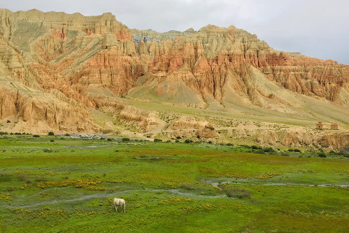 Upper Mustang Trek in Annapurna Region, Nepal image
