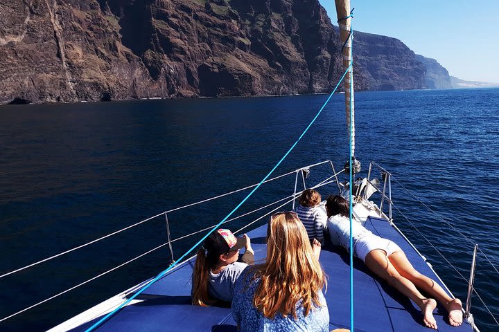 Los Gigantes Whale Watching Private Charter image