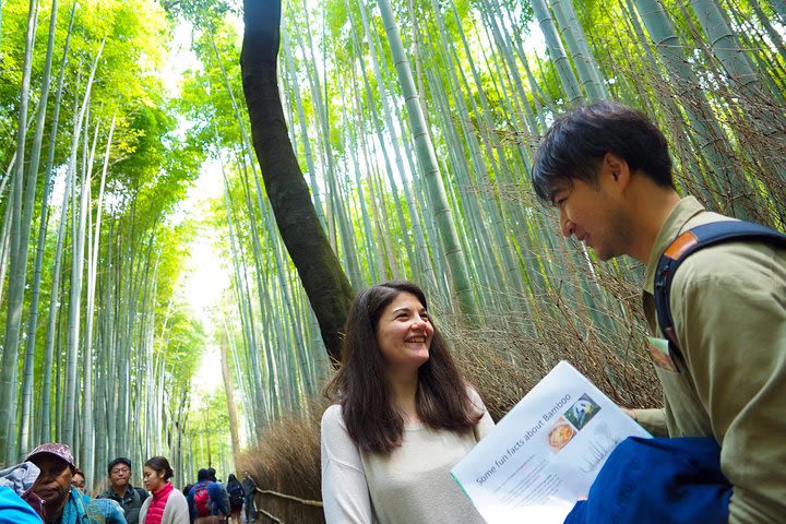 Kyoto Arashiyama Insider Walking Tour image