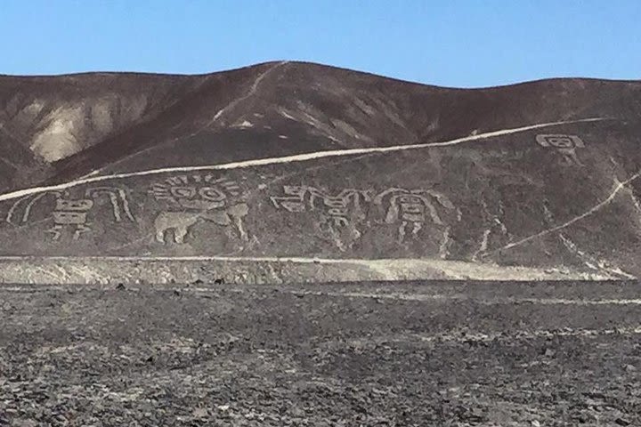 Amazing land tour to see Palpa and Nazca lines  image