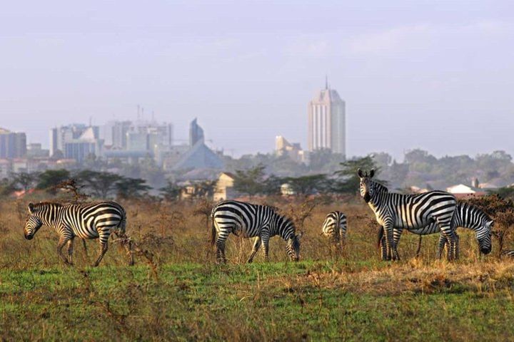 Full-Day Guided Tour in Nairobi Kenya image