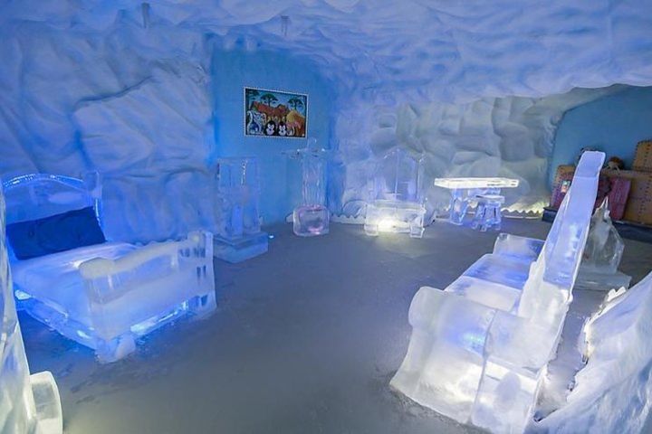 Ingresso Ice World Park - By Brocker Tourism image