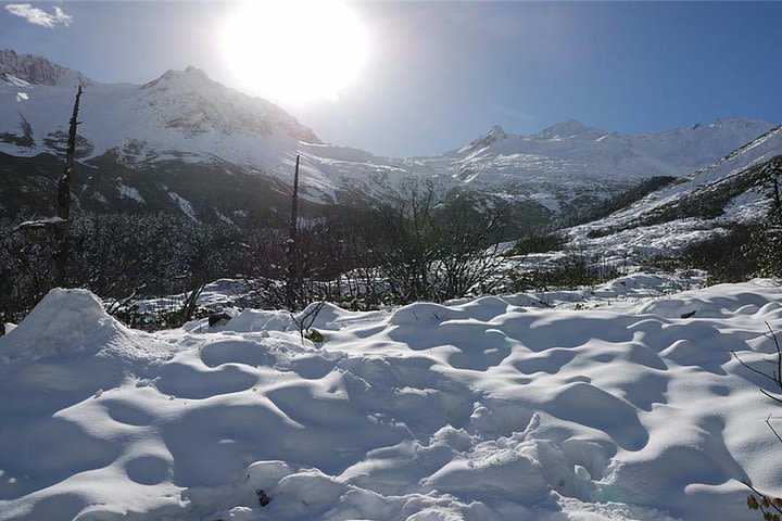 Hailuogou Glacier Tour image