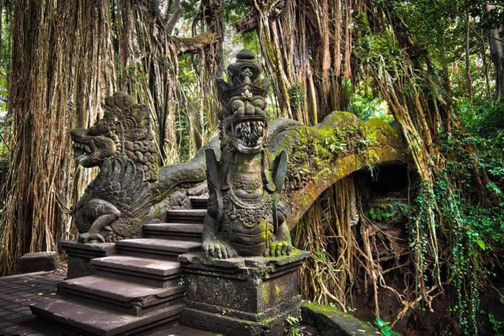 Ubud Tour - Best of Ubud image