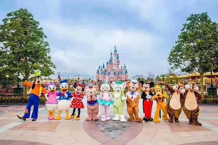 shaghai city&Disneyland trip 2 days image