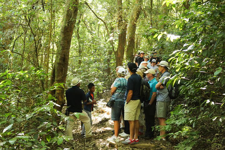 Combo Tour: Volcanoes, Lake and Mayan Sites including Joya de Ceren image