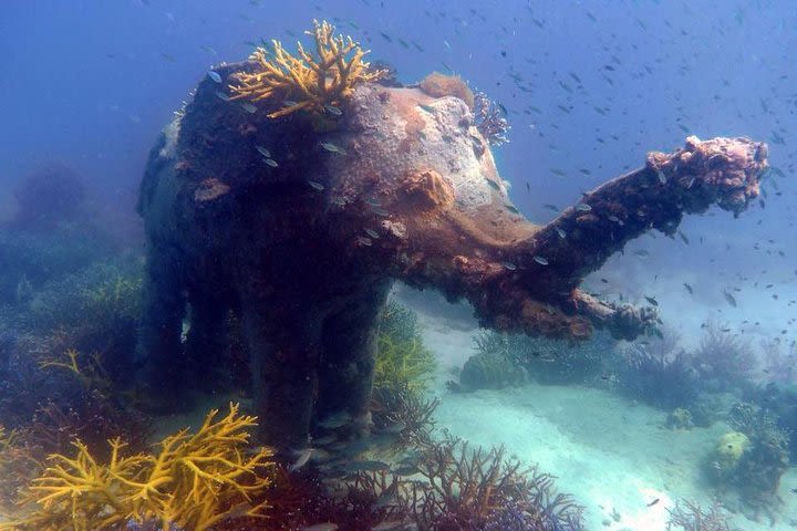 Snorkel trip at Koh Kood incl. visit waterfall (Start at Koh Mak) image