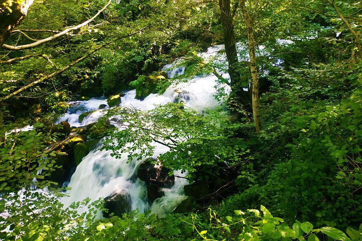 Tour to Lechkhumi from Tbilisi (Ghvirishi,Lailashi, Kulbaki,Rachkha,Usakhelouri) image