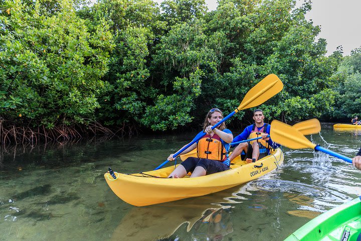 Bioluminescent Bay Night Kayaking | 8:00PM image