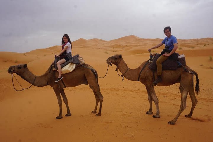 Night in Erg chebbi Dunes, Tent, Camel ride, 4x4, Sand boarding, No Extra Fee. image