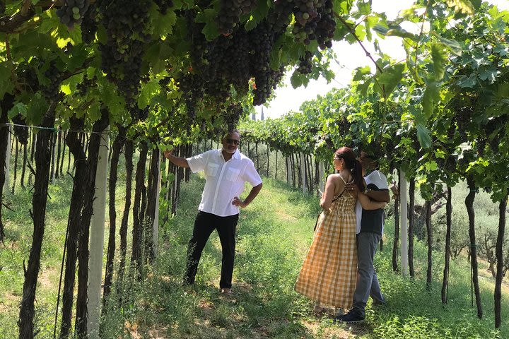 Soave Borgo wine tour with Aperitivo image