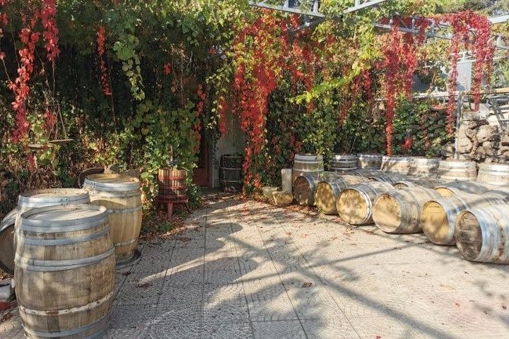 Lebanon Wine Tasting Tour image