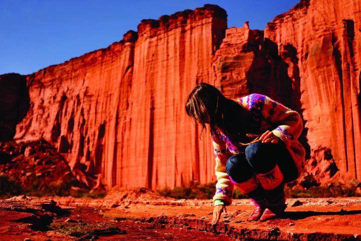 Talampaya National Park Full-Day Tour image