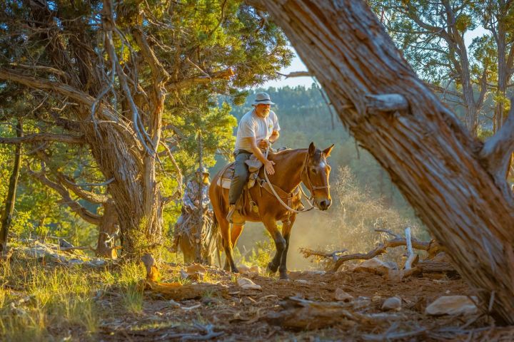 East Zion Checkerboard Evening Shadow Horseback Ride image
