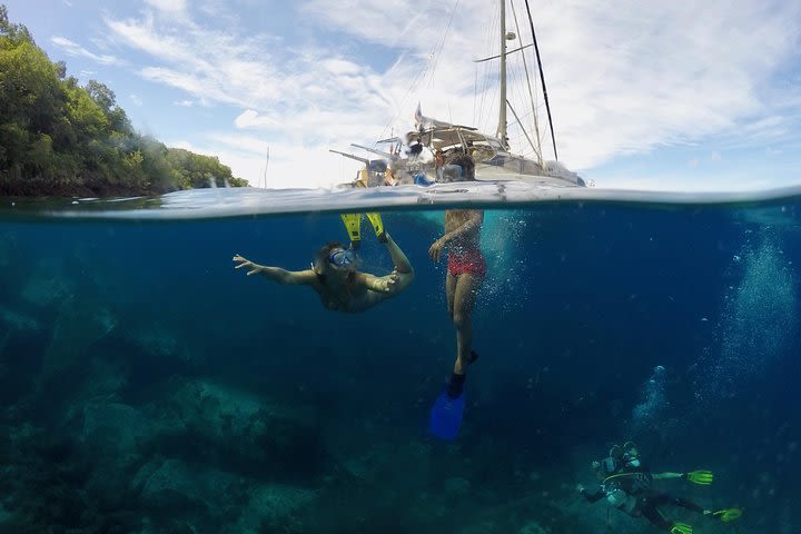 Diving and / or snorkeling day from a catamaran image