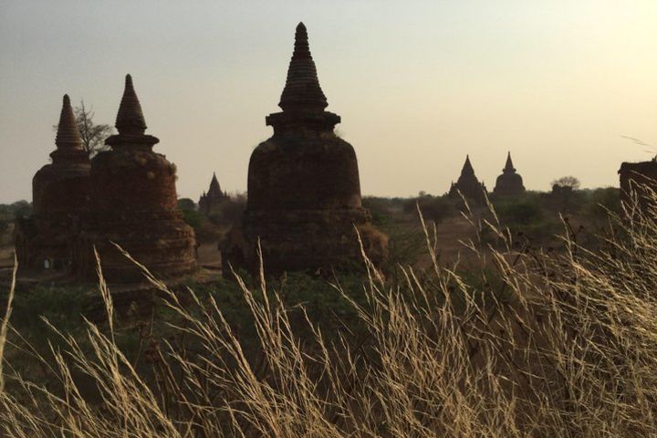 Bagan Birdwatching Activities  image