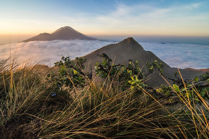 Sunrise trekking + Bali Swing + Rice Terrace image