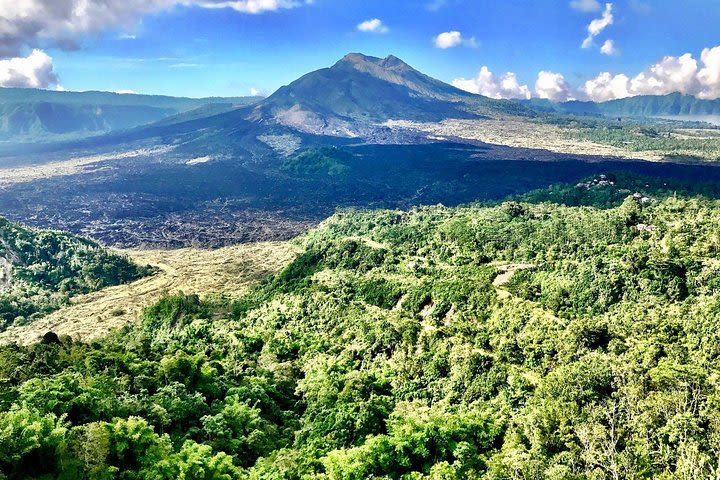 Bali Tour Fullday - Ubud and Kintamani Volcano image