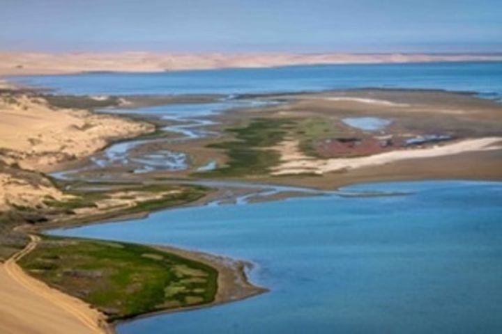 Namib Desert and wildlife photography tour image