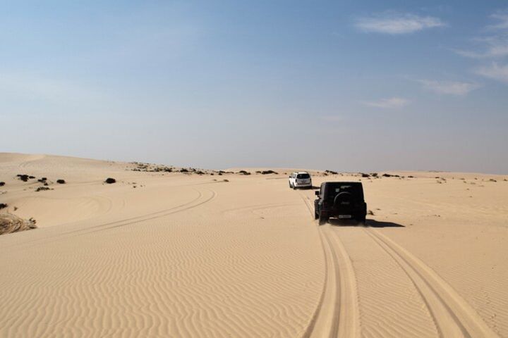 From Agadir Port : Day Trip to Small Sahara of Massa and Tiznit with Lunch image