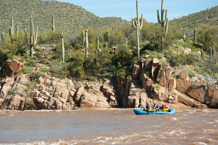 Wilderness Salt River Raft Trip image