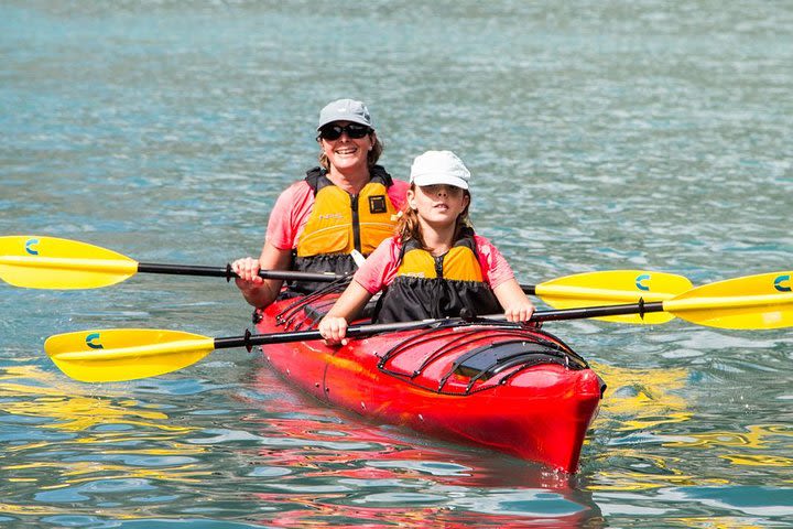 Abu Dhabi Mangrove Kayaking Tour image