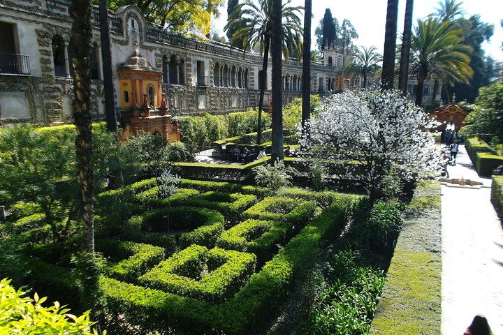 Seville from Granada in a small group up to 7 people image